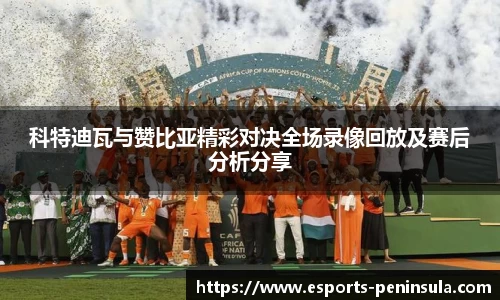 科特迪瓦与赞比亚精彩对决全场录像回放及赛后分析分享